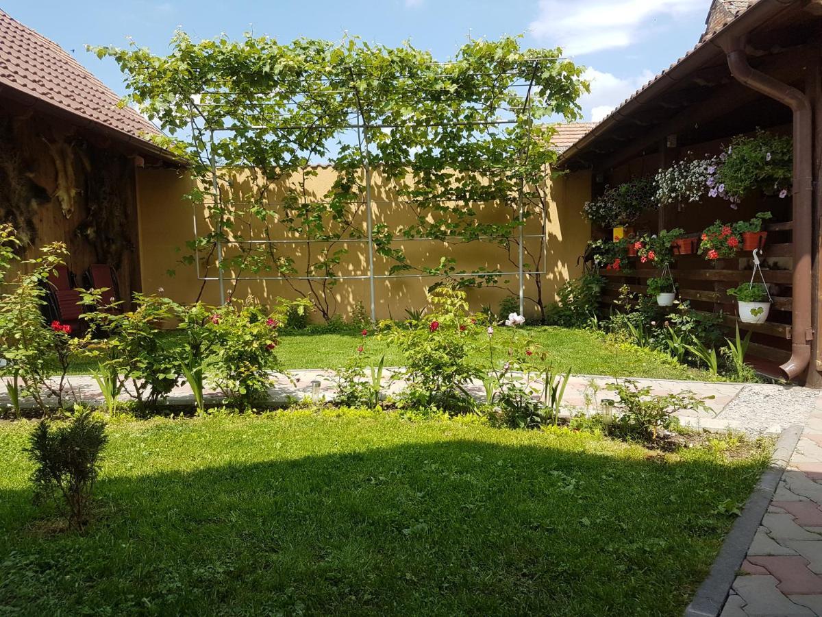 Casa Ovesia Villa Sacele Bagian luar foto